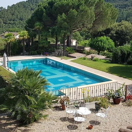 Sous Le Grand Pin Gites Eden En Cevennes Anduze Extérieur photo
