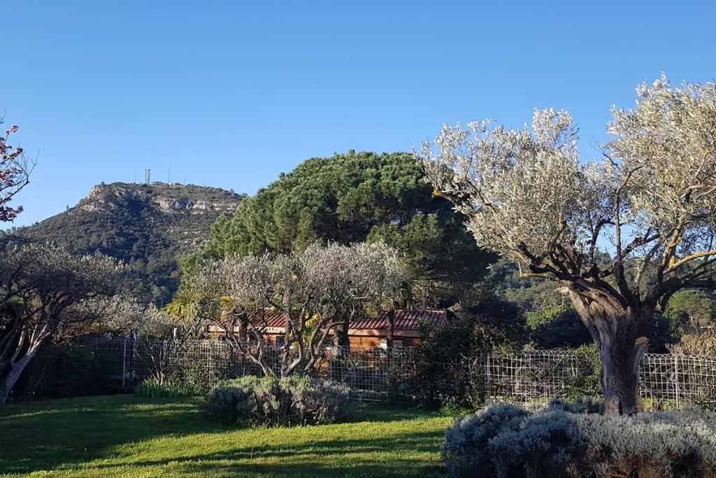 Sous Le Grand Pin Gites Eden En Cevennes Anduze Extérieur photo
