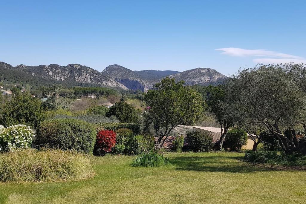 Sous Le Grand Pin Gites Eden En Cevennes Anduze Extérieur photo